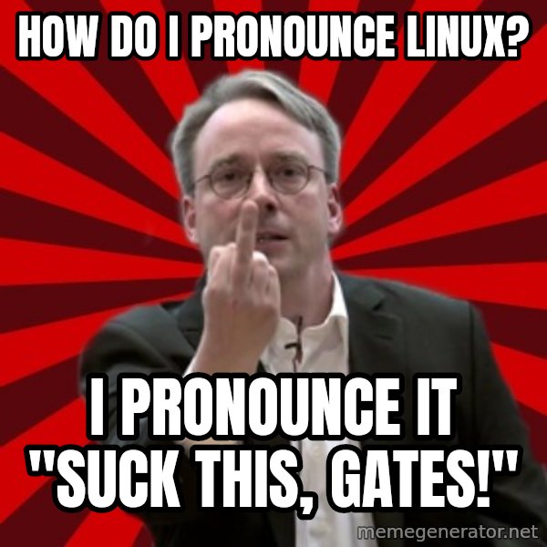 Angry Linus meme: how do i pronounce linux? / i pronounce it "suck this, gates!"