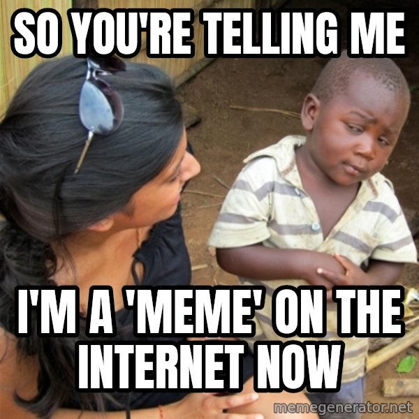So You're Telling me meme: So you're telling me / I'm a 'meme' on the internet now