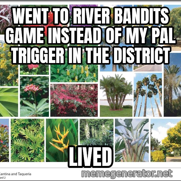 imageboard meme: Went to river bandits game instead of my pal trigger in the district / lived