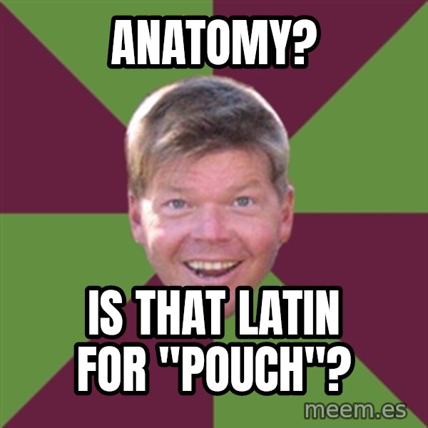 Rob Liefield meme: Anatomy? / is that latin for "pouch"?