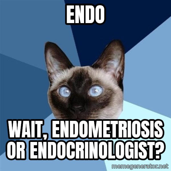 Chronic Illness Cat meme: Endo / Wait, endometriosis or endocrinologist?