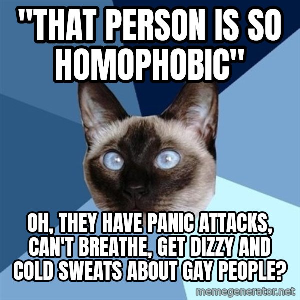 Chronic Illness Cat meme: "That person is so homophobic" / Oh, they have panic attacks, can't breathe, get dizzy and cold sweats about gay people?