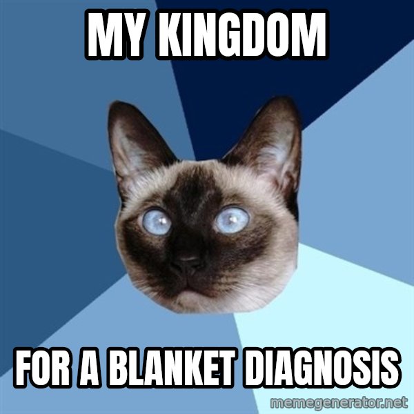 Chronic Illness Cat meme: my kinGDOM / FOR A BLANKET DIAGNOSIS