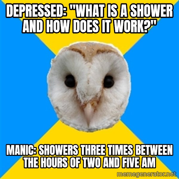 Bipolar Owl meme: Depressed: "What is a shower and how does it work?" / Manic: showers three times between the hours of two and five am
