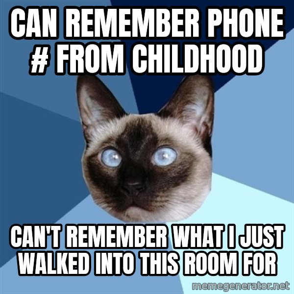 Chronic Illness Cat meme: Can remember Phone # from Childhood / Can't remember what i just walked into this room for