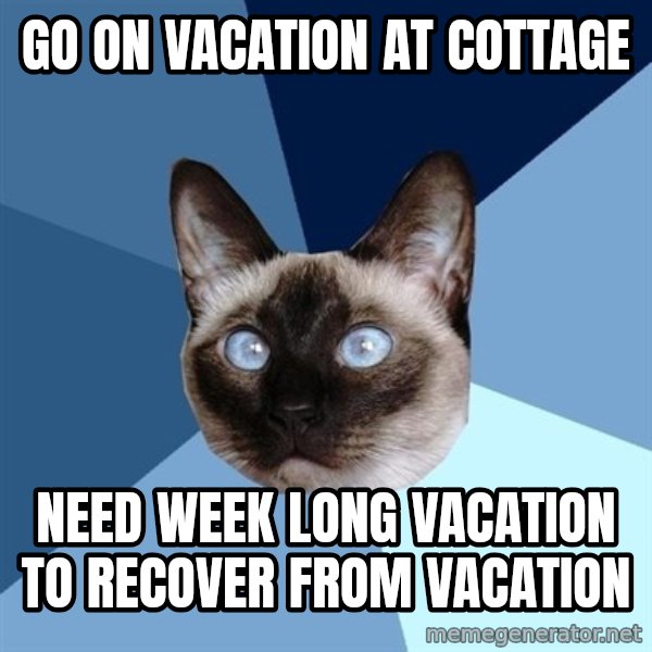 Chronic Illness Cat meme: Go on vacation at cottage / Need week long vacation to recover from vacation