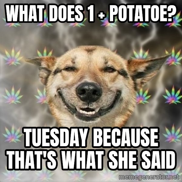 Stoner Dog meme: what does 1 + potatoe? / tuesday because that's what she said