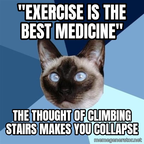 Chronic Illness Cat meme: "Exercise is the best medicine" / The thought of climbing stairs makes you collapse