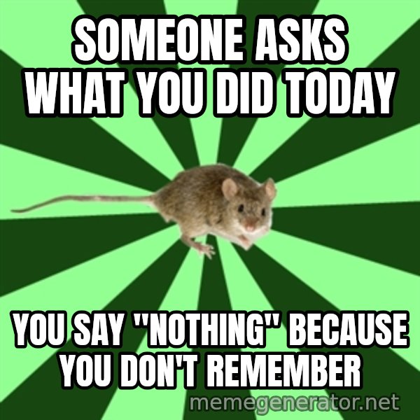 Mental Illness Mouse meme: Someone asks what you did today / you say "nothing" because you don't remember
