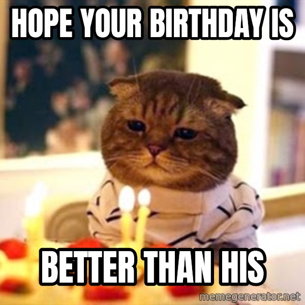 Birthday Cat meme: hope your birthday is / better than his