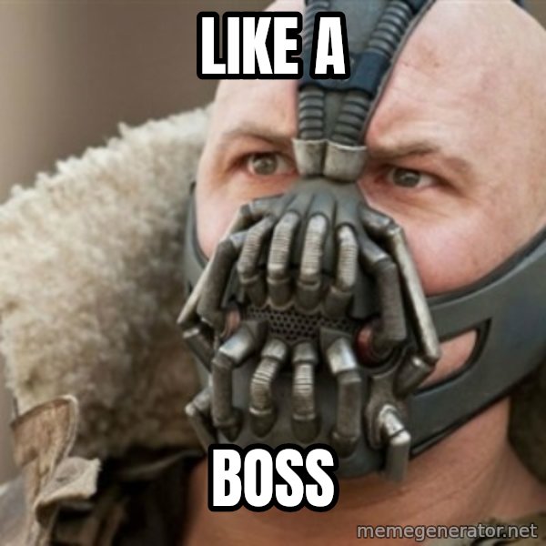 Bane meme: Like a / boss