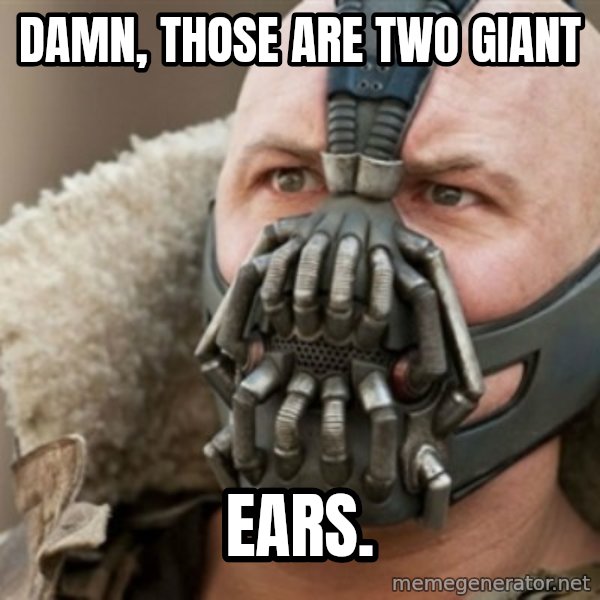 Bane meme: Damn, those are two giant / Ears.