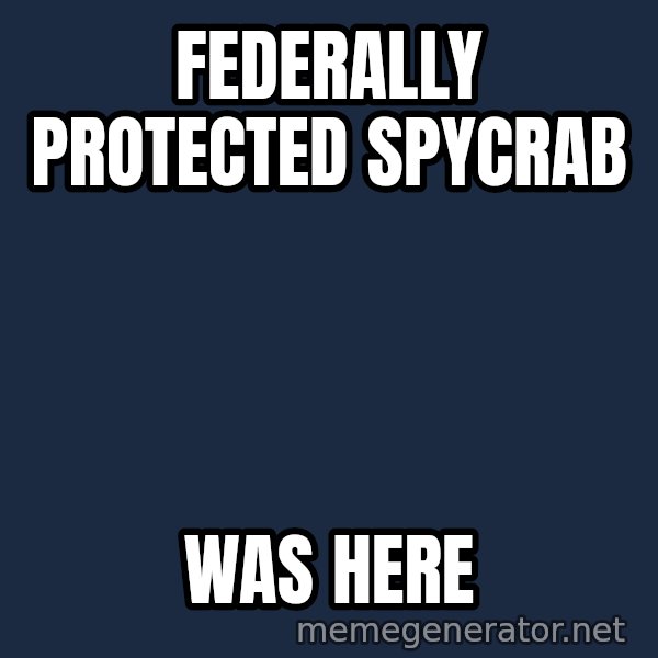 Tf2 Soldier meme: federally Protected spycrab / was here