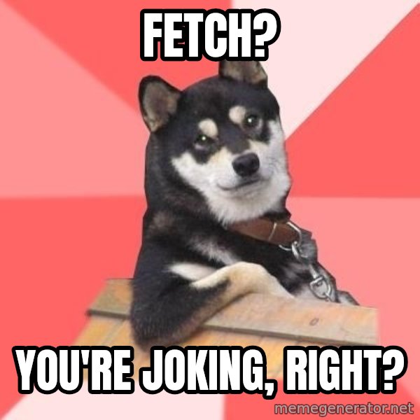 Cool Dog meme: fetch? / you're joking, right?