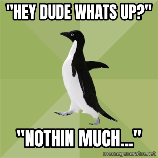 Socially Average Penguin meme: "hey dude whats up?" / "nothin much..."
