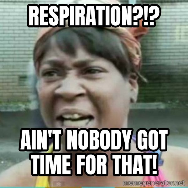 Sweet Brown Meme meme: respiration?!? / ain't nobody got time for that!