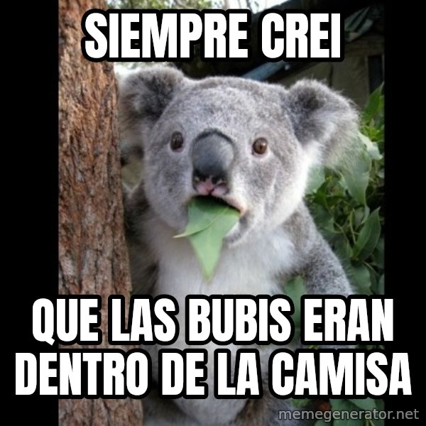 Koala can't believe it meme: siempre crei / que las bubis eran dentro de la camisa