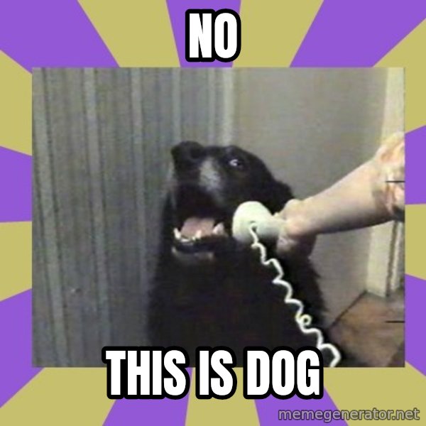 Yes, this is dog! meme: No / THIS IS DOG