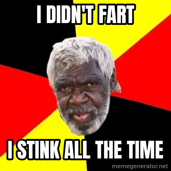 Aboriginal meme: i didn't fart / i stink all the time