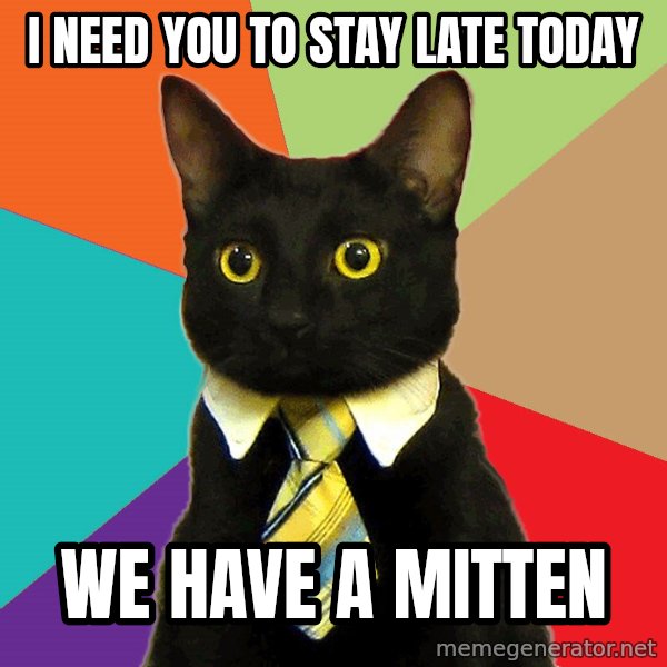 Business Cat meme: i need you to stay late today / we have a mitten