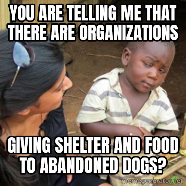 Skeptical 3rd World Kid meme: YOU ARE TELLING ME THAT THERE ARE ORGANIZATIONS / GIVING SHELTER AND FOOD TO ABANDONED DOGS?
