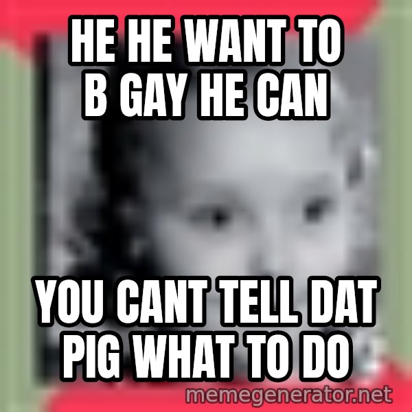 Honey Boo Boo Child meme: he he want to b gay he can / you cant tell dat pig what to do