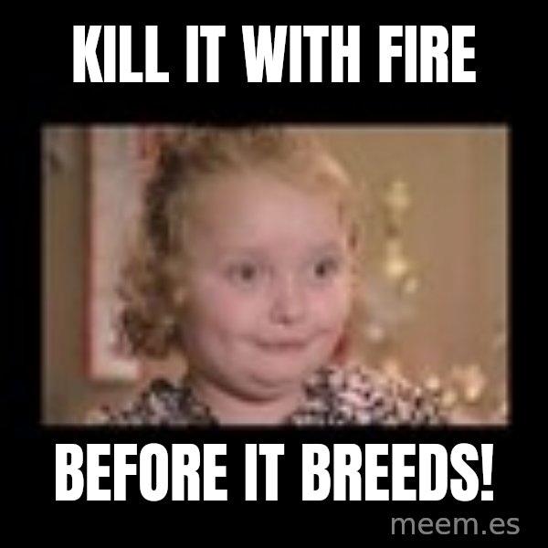 Honey BooBoo meme: KILL IT WITH FIRE / BEFORe IT BREEDS!