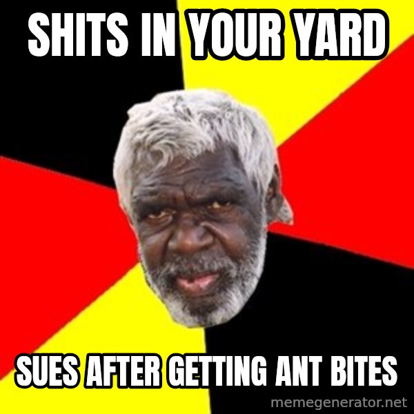Aboriginal meme: shits in your yard / sues after getting ant bites