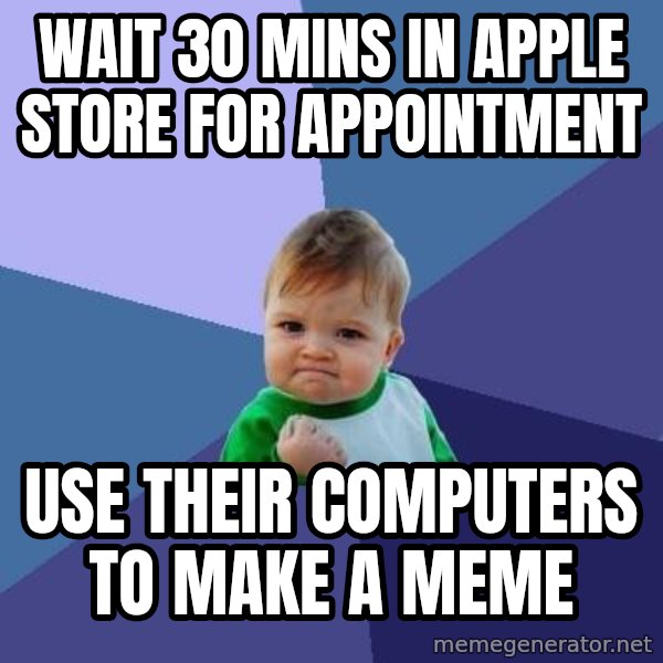 Success Kid meme: Wait 30 mins in apple store for appointment / use their computers to make a meme