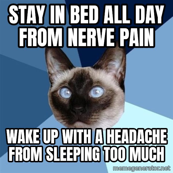 Chronic Illness Cat meme: stay in bed all day from nerve pain / wake up with a headache from sleeping too much