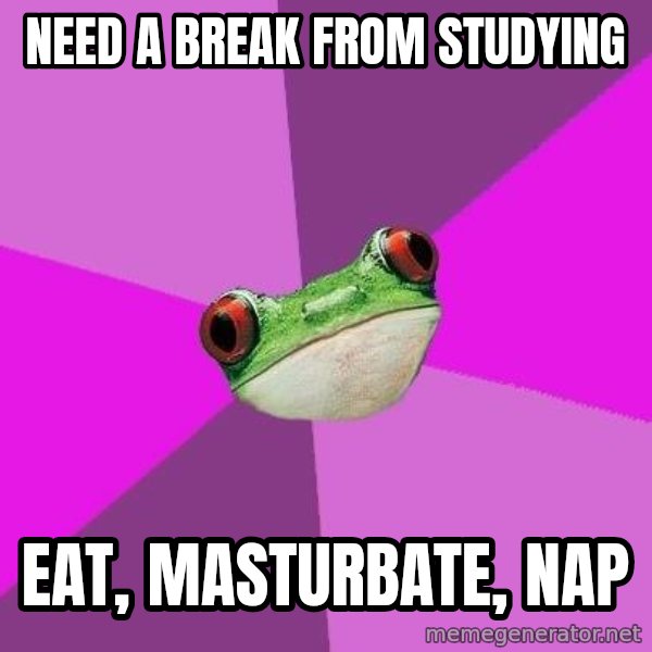 Foul Bachelorette Frog meme: Need A Break from studying / Eat, Masturbate, nap
