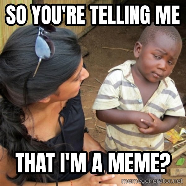 So You're Telling me meme: So you're telling me / that i'm a meme?