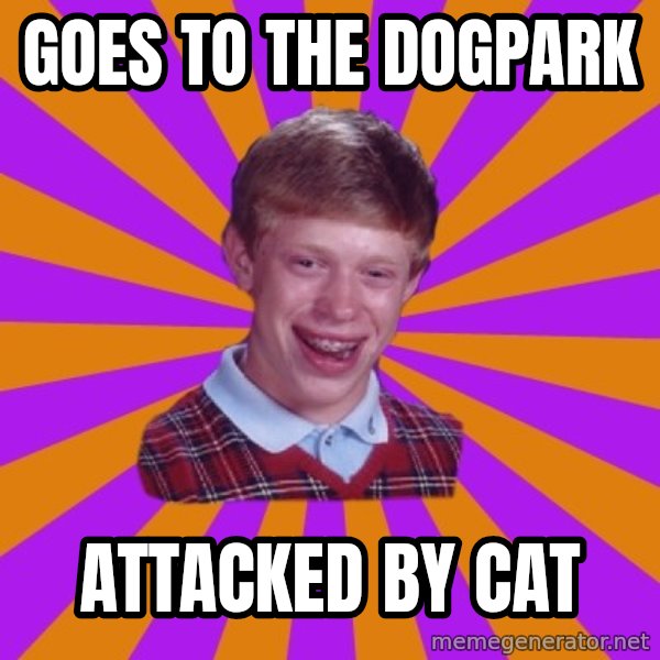 Unlucky Brian Strikes Again meme: Goes to the Dogpark / Attacked by Cat