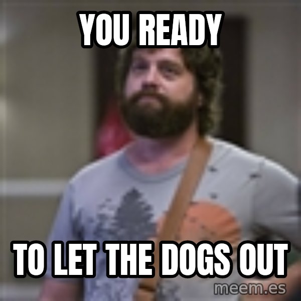 Alan Hangover meme: You rEady / To let the Dogs out