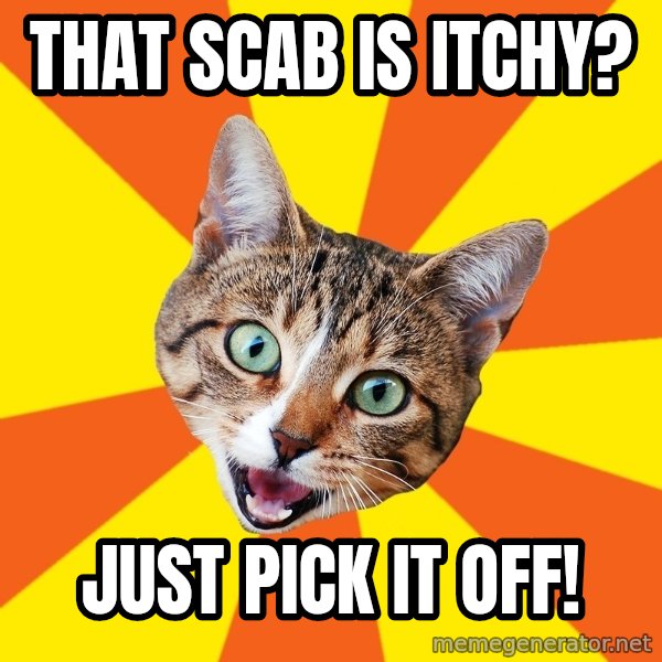 Bad Advice Cat meme: That scab is itchy? / just pick it off!