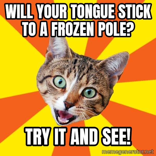 Bad Advice Cat meme: Will your tongue stick to a frozen pole? / try it and see!