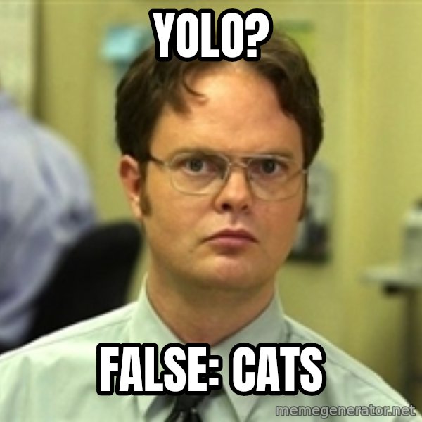 Dwight Schrute meme: YOLO? / False: cats