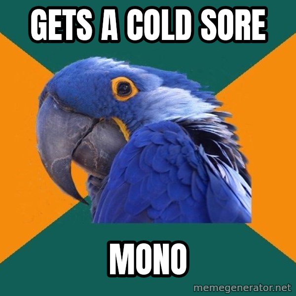 Paranoid Parrot meme: gets a cold sore / mono