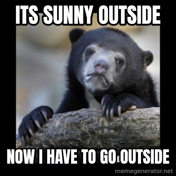 sad bear meme: Its sunny outside / NoW i have to go outside