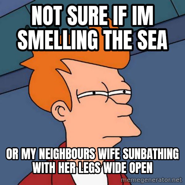 Futurama Fry meme: Not sure if im smelling the sea / Or my neighbours wife sunbathing with her legs wide open