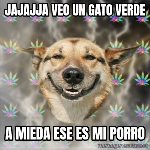 Stoner Dog meme: jajajja veo un gato verde / a mieda ese es mi porro