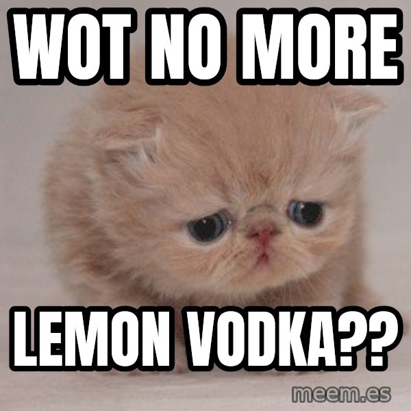 Super Sad Cat meme: wot no more / lemon vodka??
