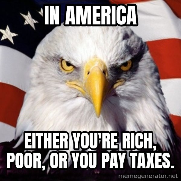 American Pride Eagle meme: In America / either you're rich, poor, or you pay taxes.