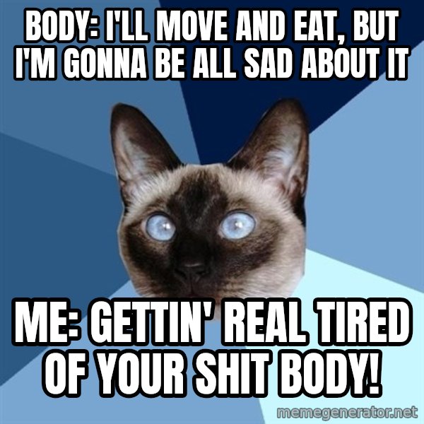 Chronic Illness Cat meme: body: i'll move and eat, but i'm gonna be all sad about it / me: gettin' real tired of your shit body!