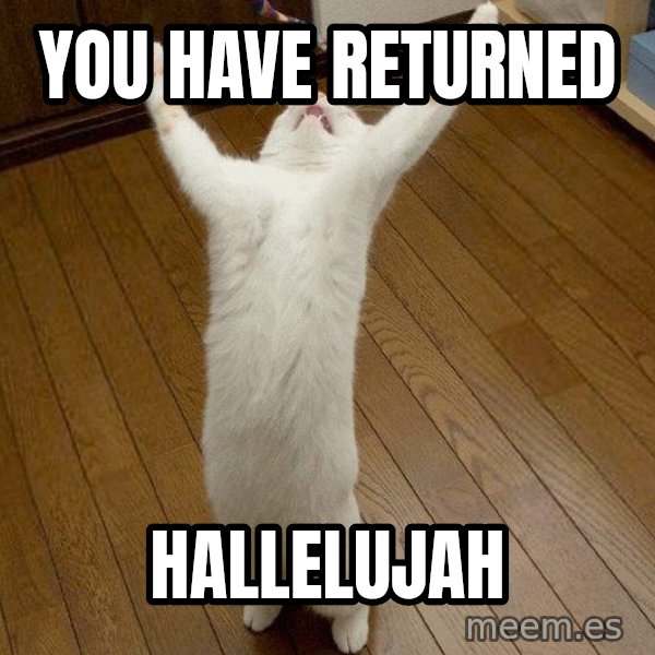 praise the lord cat meme: You have returnED / Hallelujah