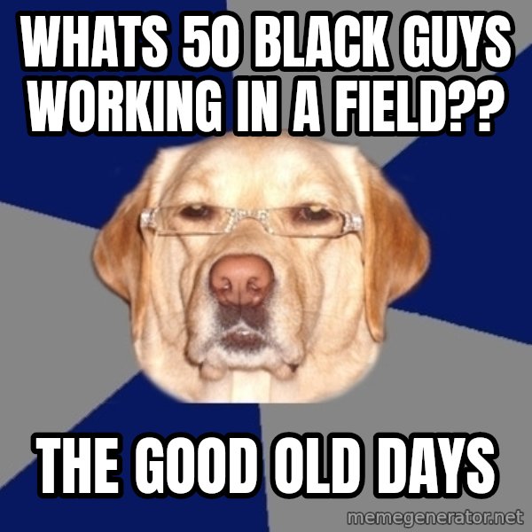 Racist Dawg meme: whats 50 black guys working in a field?? / the good old days