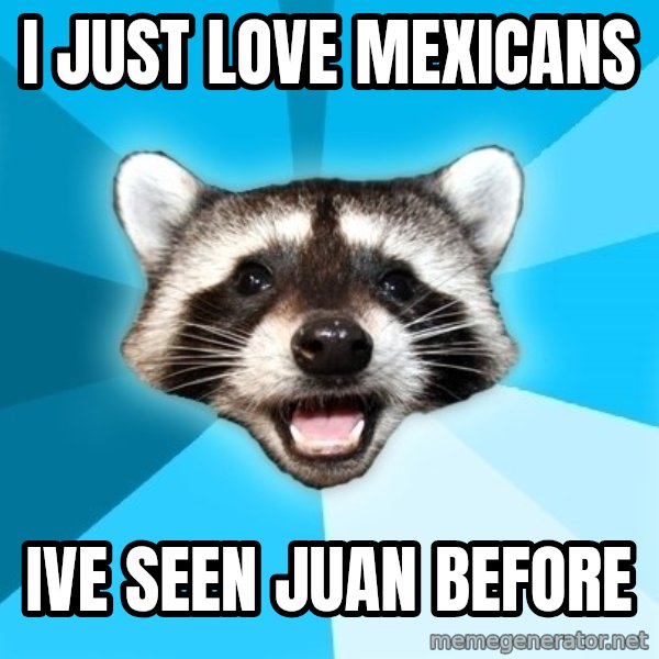 Lame Pun Coon meme: I JUST LOVE MEXICANS / IVE SEEN JUAN BEFORE