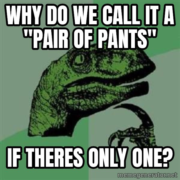 Philosoraptor meme: why do we call it a "pair of pants" / if theres only one?