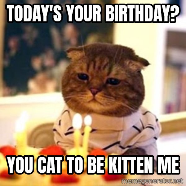 Birthday Cat meme: Today's your birthday? / You cat to be kitten me