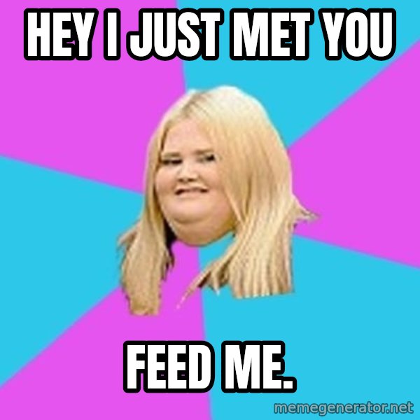 Fat Girl meme: Hey i just met you / feed me.